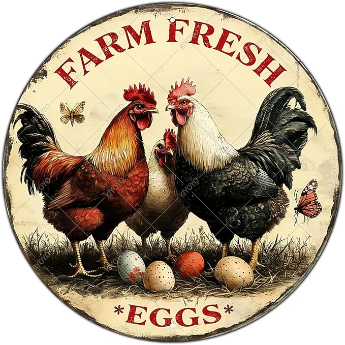 Funny Chicken Signs Farm Fresh Eggs Round Vintage Chicken Tin Sign for Coop Metal Tin Signs Poster 12 Inch