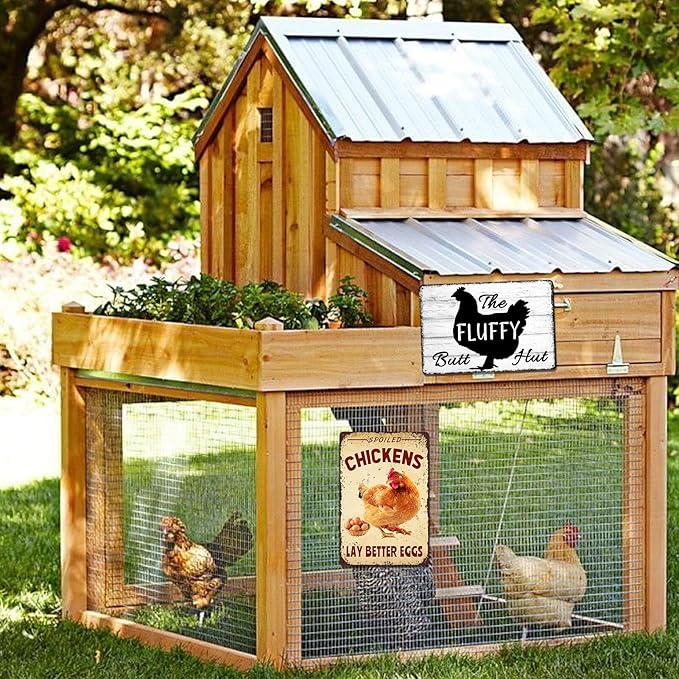 Chicken Coop Signs Metal Tin Decor - Vintage Farm Outdoor Wall Art, Funny Yard Kitchen Gifts for Chicken Lovers - Fluffy Butt Hut Chicken Signs for Barn, Coop Accessories 8x12 Inch