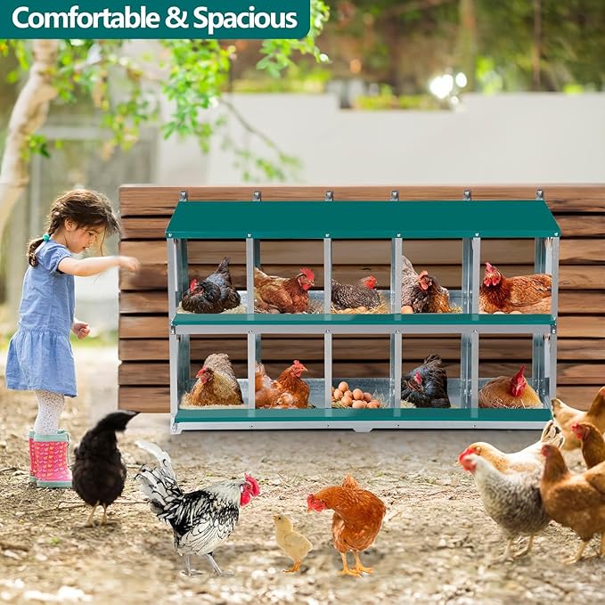 Chicken Nesting Box, 10 Compartment Nesting Box, 10 Room Metal Nesting Boxes for Chicken, Green