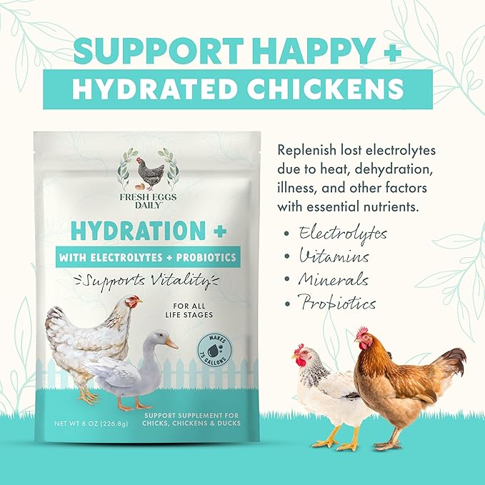 Fresh Eggs Daily Poultry Electrolyte Powder - Hydration Support Drink Mix with Probiotics for Chickens & Ducks - Natural Supplement for Environmental Challenges, Immune Health & Egg Quality - 8 Oz