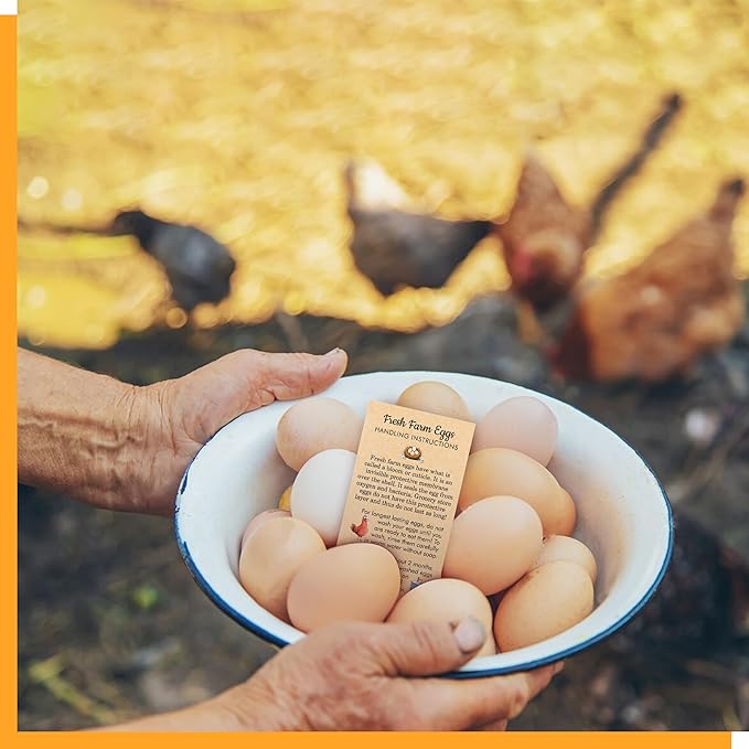 200 PCS Fresh Farm Egg Handling Instruction Cards, Double-sided Printing Egg Carton Stamp Bulk with Washed/Unwashed Fresh Egg Care Accessories Card Labels for Farm Fresh Eggs (3.5” x 2”)