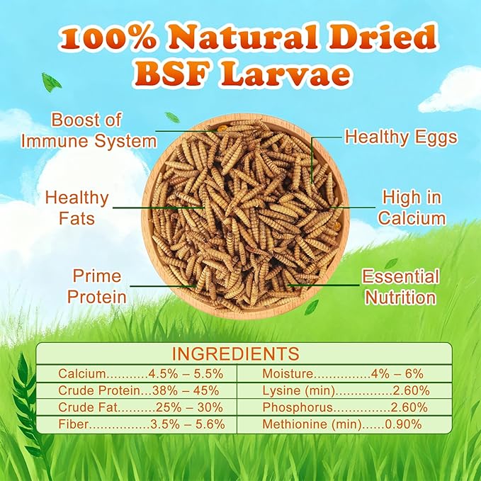 Amzey Dried Black Soldier Fly Larva/Dried Mealworms -2 LBS- 100% Natural BSF Larvae - 85XMore Calcium Than Mealworms - High Calcium Treats for Chickens, Birds, Reptiles, Hedgehog, Geckos, Turtles