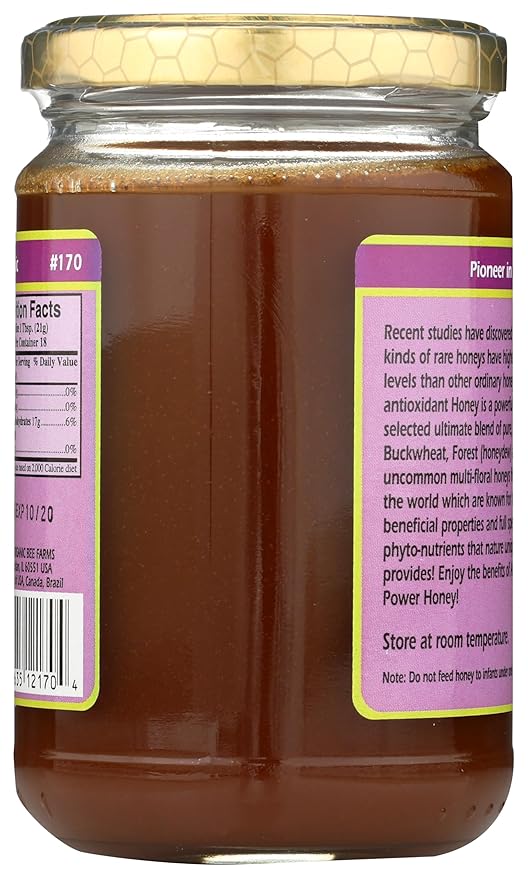 Raw Antioxidant Power Honey YS Eco Bee Farms 13 oz Paste