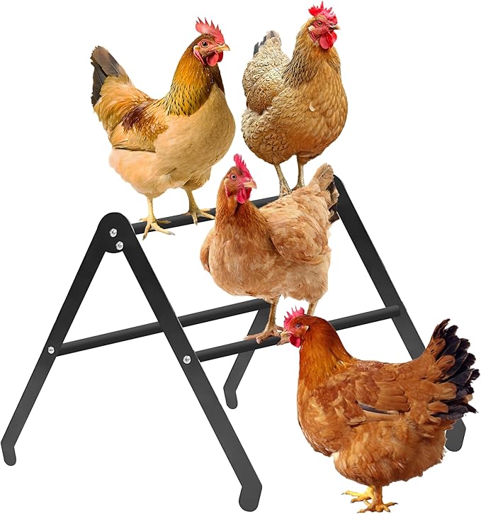 Chicken Roosting Bars for Coop - 3-Tier Heavy-Duty Metal Perch - 2026 Large Adjustable Training Ladder for Hens - High Weight Capacity, Weather-Resistant, No-Tool Assembly