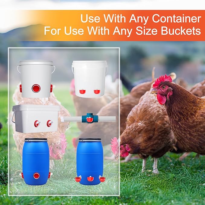 Chicken Feeders and Waterers, 4 Ports Chicken Feeder No Waste and 4 Packs Chicken Water Cups