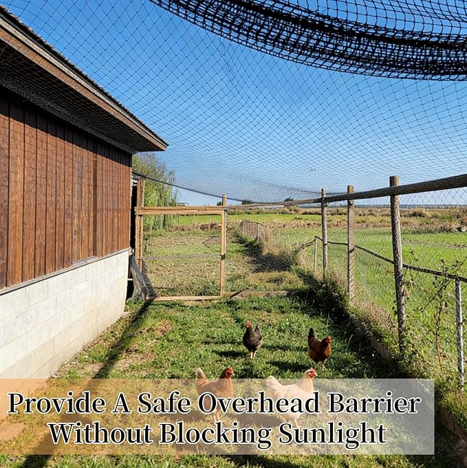 25x50ft Heavy Duty HDPE Poultry Netting,2.4" Bird Netting for Chicken Coop Run Chicken Pen,Strong Chicken Run Net Against Hawk & Predator,Tangle-Free UV Resistant (25FT)