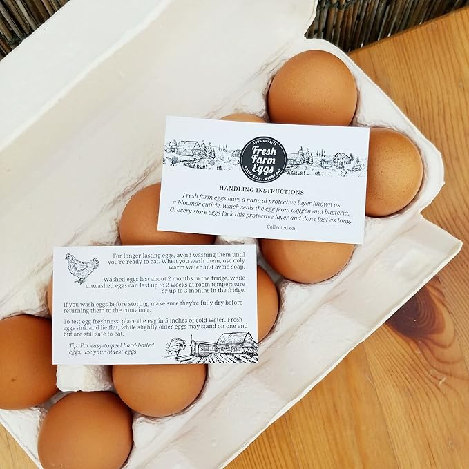 100 Pack Premium Fresh Farm Eggs Handling Instructions Care Accessories Cards Labels | Egg Blank Cartons 4 6 12 15 18 30 48 50 Count Basket Box Container Storing Extra Organizer -M09CH100