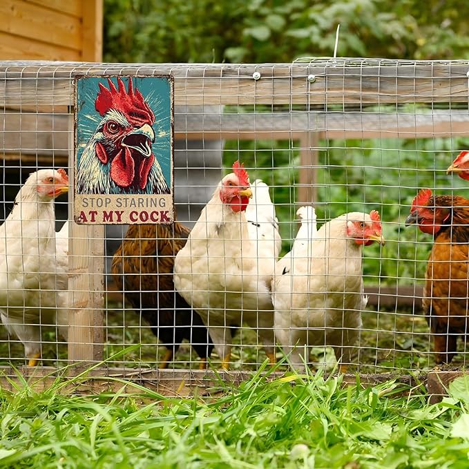 Funny Chicken Vintage Metal Tin Sign for Farm Chicken Coop Farmhouse Wall Decorations 12 * 8inch