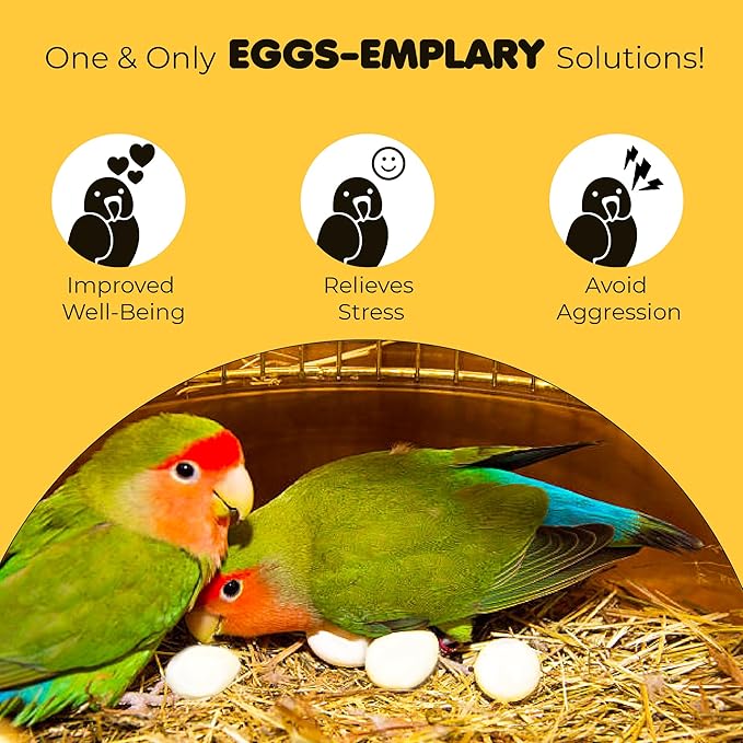 SunGrow Fake Eggs to Train Birds from Laying in The Nesting Boxes & to Stop from Eating Own Eggs, White Color, 8 Pack Plastic Eggs Suitable for Parakeet and Cockatiel