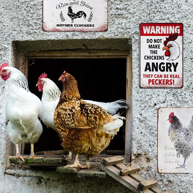 8 Pack Chicken Coop Accessories - Funny Chicken Signs and Metal Plaque Signs for Outdoor, 8x12 Inch