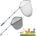 Chicken Catching Net 2 Pcs, Chicken Net for Chicken Supplies, Stainless Steel Poultry Catcher for Catching Small Chicken, Goose, Ducks, Fish, Birds(2 Nets, 1 Pole Included