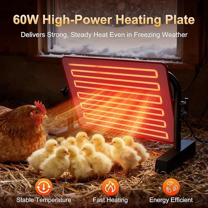 Chick Heat Plate, 15" x 10"Large Brooder Heating Plate for Poultry, Safe Chicken Brooder Heater, Chick Warmer, 60W, 3 Levels, Fast & Even Heating, 3 Adjustable Height/Angle, Energy-Saving