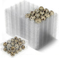 60 Pcs Quail Egg Cartons, 12 Grids Clear Plastic Square Classical 3x4 Style Egg Cartons, Quail Egg Holder Reusable Small Egg Carton Storage Holders Bulkfor Refrigerator