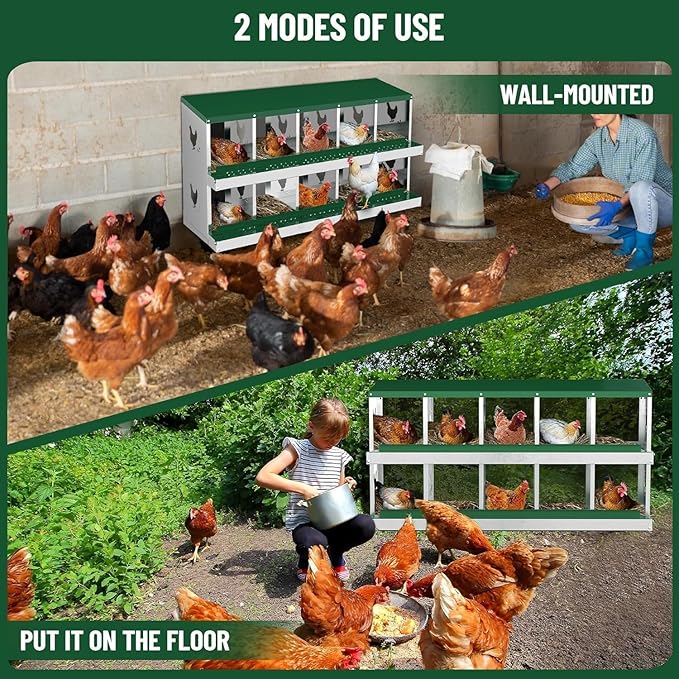 Metal Chicken Nesting Box, 10 Compartments, Rollout Egg Collection, Large Vented Holes, Perch Included, Wall Mount or Free Standing Laying Box for Hens and Chickens - Green