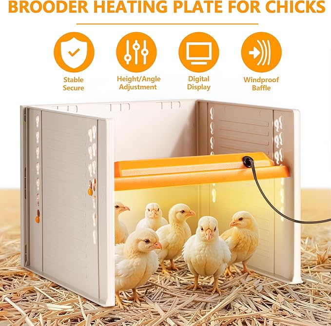 Chick Brooder, Chicken Brooder Heating Plate for Chicks with Adjustable Height and Angle
