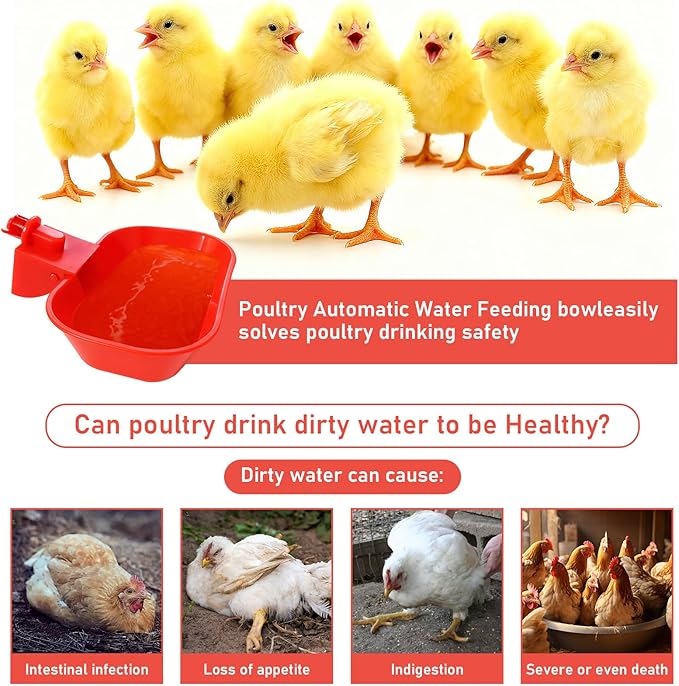 XL Chicken Waterer Cups – 4 Pack Large Automatic Chicken Water Cups for Chicken Coop & Chicken Coop Accessories, Ducks, Geese & Turkeys
