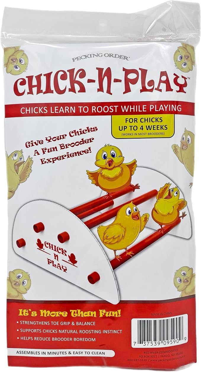 Pecking Order 9590 N-Play Chick brooder Accessory, Red