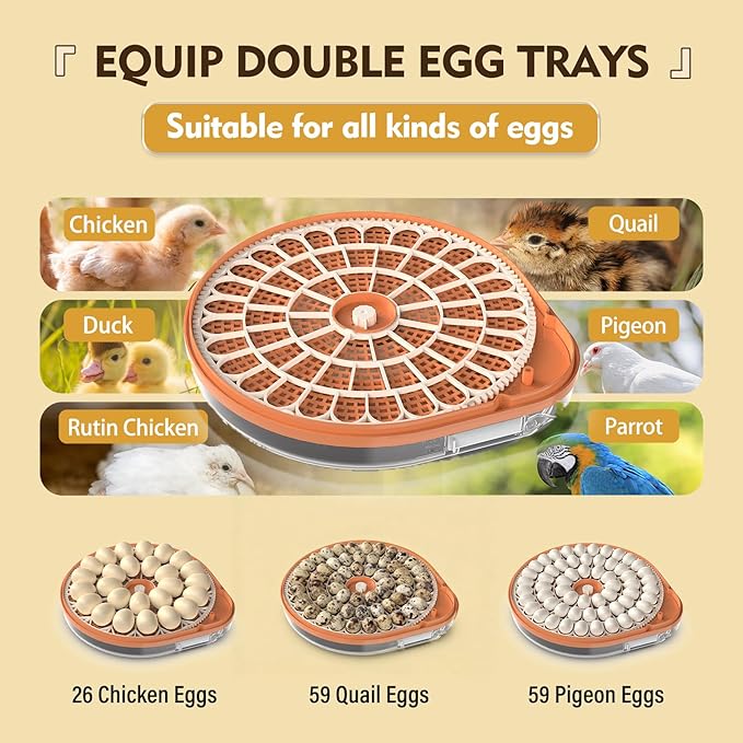 Incubators for Hatching Eggs 3 in 1 Fully Automatic Poultry Incubator Auto Temp and Humidity Control Auto Egg Turning 26 Eggs Capacity for Farm and Home Use Suitable for Chicken Duck Quail Eggs