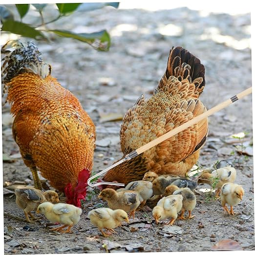 Poultry Catching Tool Heavy Duty Chicken Catcher Hook for Geese Animals Construction for Efficient Farm Animal Safety Focused Equipment