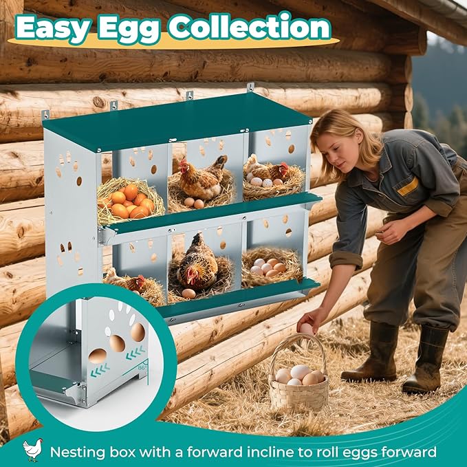 Chicken Nesting Box for Laying Eggs, Metal Chicken Laying Boxes Wall Mountable, Easy Egg Collection Roll Away Nesting Boxes, Chicken Coop Nesting Boxes for Hens, 6 Compartments