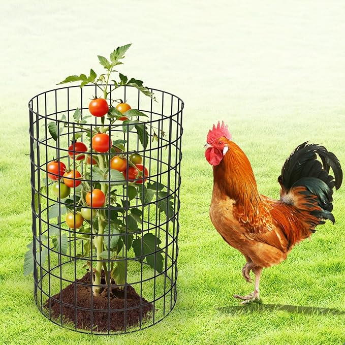 AMAGABELI GARDEN & HOME Black PVC Coated Welded Wire Fence 2inchx3inch 24inchx25ft 16Gauge Garden Border Fencing Roll Vinyl Coating Metal Wire Mesh Garden Bed Plant Supports Poultry Netting Cage