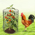 AMAGABELI GARDEN & HOME Black PVC Coated Welded Wire Fence 2inchx3inch 24inchx25ft 16Gauge Garden Border Fencing Roll Vinyl Coating Metal Wire Mesh Garden Bed Plant Supports Poultry Netting Cage