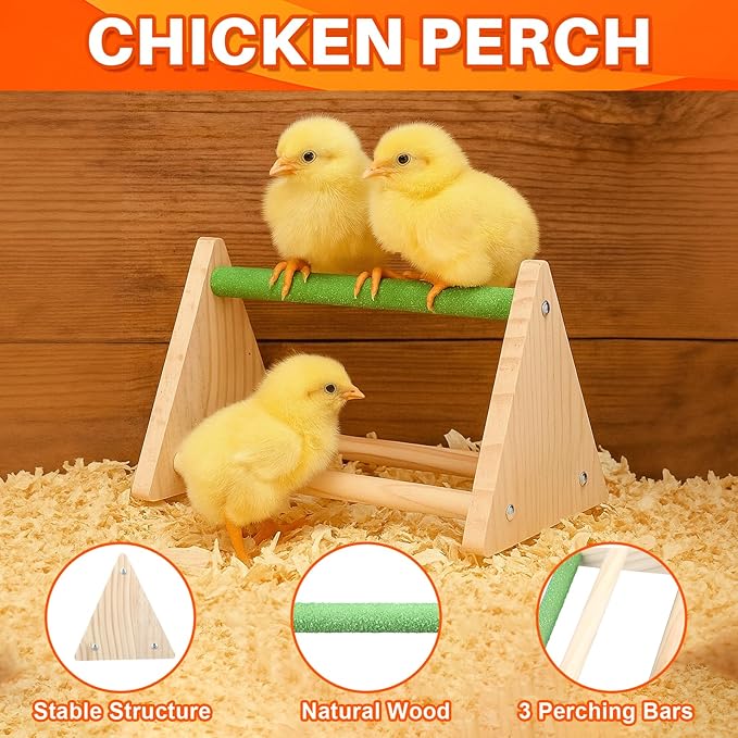5 Pack 3l Heated Chicken Waterer Chick Perch Set for Winter 0.8 Gallon Heated Poultry Fountain with Leg Support and Flip Top Poultry Feeder for Chicks Ducks Quail