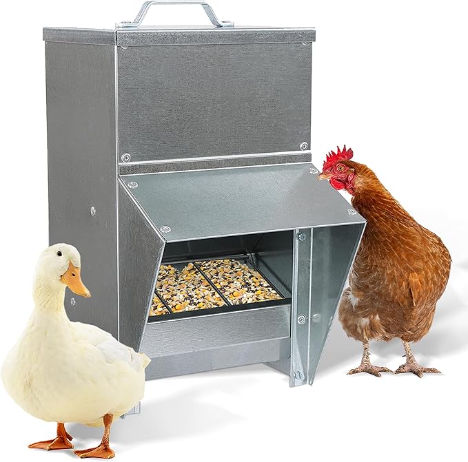 Rural365 25lb Capacity Galvanized Chicken Feeder Weatherproof Coop Dispenser