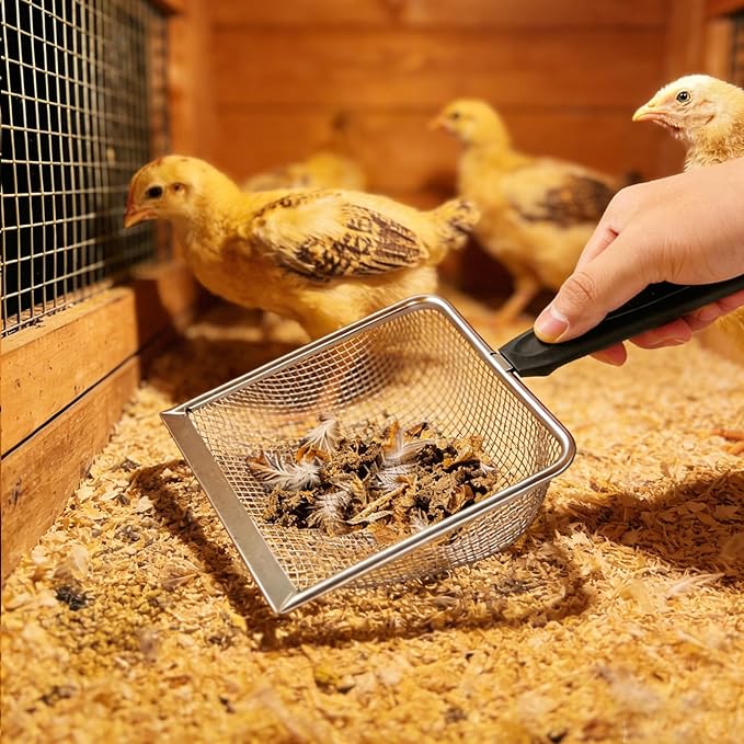 2 Pack Chicken Poop Scooper for Coop, Mesh Sifting Shovel with 3.8mm & 5mm Holes, 5.5" Metal Chicken Coop Rake and Scoop Cleaning Tool, Scooper Shovel for Sifting Sand, Litter, Chicken Supplies (5.5")