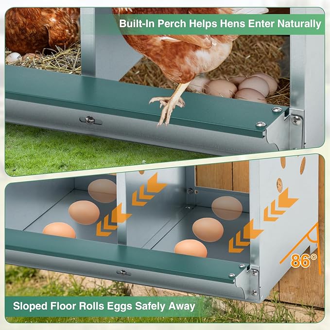 EAGLE PEAK 3-Hole Wall Mounted Chicken Nesting Box, Roll Away Hen Laying Box with Sloped Roof & Easy Clean Tray, Galvanized Steel for Backyard Chicken Coops (Green)