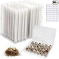 90 Packs Quail Egg Cartons, Quail Egg Cartons Cheap Bulk 24 Count Clear Plastic Quail Egg Containers for Farm, Reusable Quail Egg Tray Holder for Family Refrigerator Storage, Market