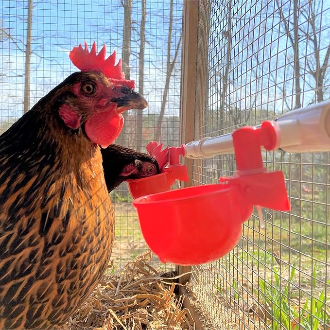 12 Pack Automatic Chicken Waterer Cups with 1/2" PVC Tee Fittings Chicken Water Cups, Chicken Water Feeder, for Chicks, Duck, Goose, Turkey. Poultry Waterer Feeder Kit