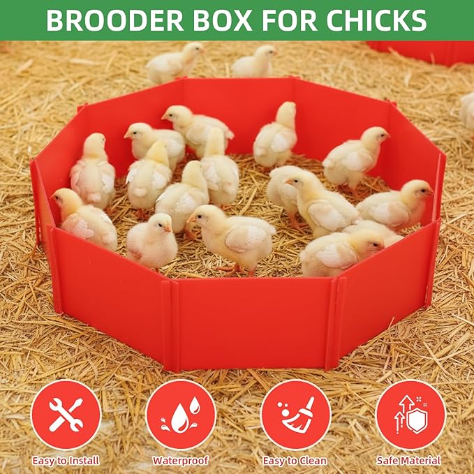 8 Pcs Chick Starter Kit Include Chicken Brooding Box with 75w Heat Lamp, Heated Chicken Waterer and Feeder, Chick Perch, Flip Top Poultry Feeder for Duck Goose Quail