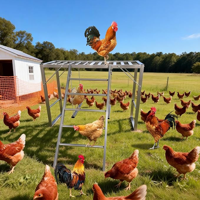 38.98in Metal Chicken Roosting Bars with Swing and Ladder, Heavy Duty Roosting Bars for Chicken Perch, Exercise Equipment for 8-10 Chickens Health & Happiness in Backyard Farms, Silver