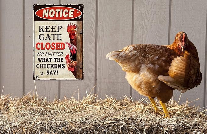 Retro Funny Chicken Tin Sign,Vintage Chicken Coop Notice Metal Poster, Farm Wall Art Decor for Outdoor Home Fence Kitchen Bedroom,Gifts 8×12 Inches (KEEP GATE CLOSED)