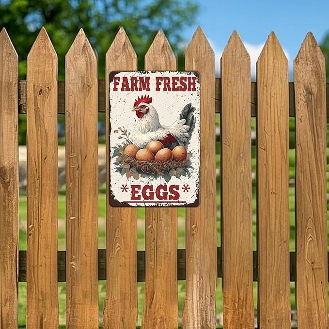 Funny Chicken Signs Farm Fresh Eggs Metal Sign Home Farm Art Wall Decor 12x8 Inch Vintage Chicken Coop Kitchen Garden Backyard Patio