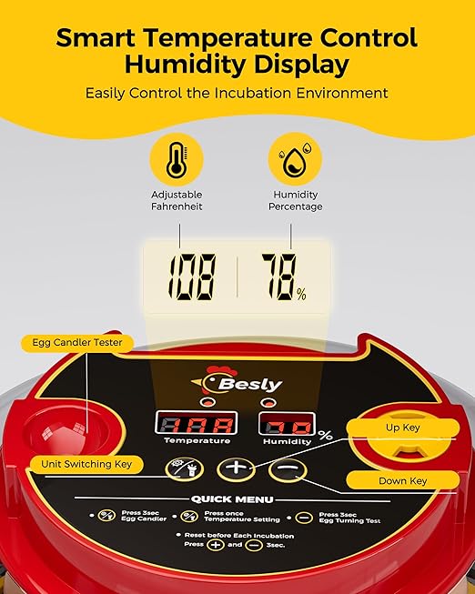 Incubator for Hatching Eggs,Automatic Turning,Temperature and Humidity Control Display,360° Viewing for Chicken, Duck, Quail Eggs, Ideal for Farm, Classroom, Home Use,2025 Upgraded 12 Egg Incubators