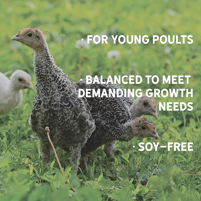 New Country Organics | Turkey Starter Feed 40 lbs I Turkey Feed for Poults and Chicks | Soy-Free | 26% Protein | Certified Organic and Non-GMO Turkey Food