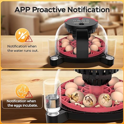 Incubators for Hatching Eggs with Automatic Egg Turning and Humidity Control, with Remote APP Control, 12 Egg Capacity, for Chicken Duck Pigeon Quail