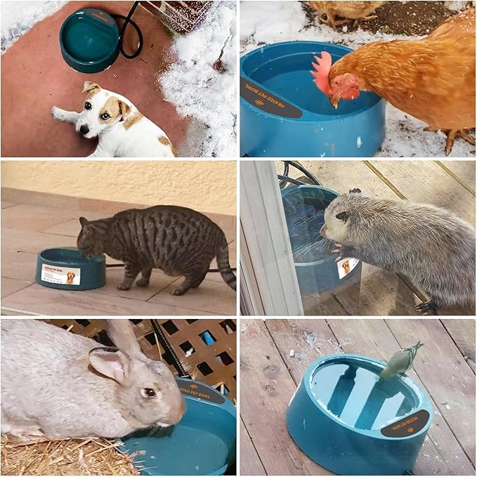 Enjoying Heated Pet Bowl for Cat Outdoor, 2.2 L, Ice Free, Heated Water Bowl for Dogs Chickens Rabbits Birds, Intellectual Temperature Control Thermal Bowl, Green