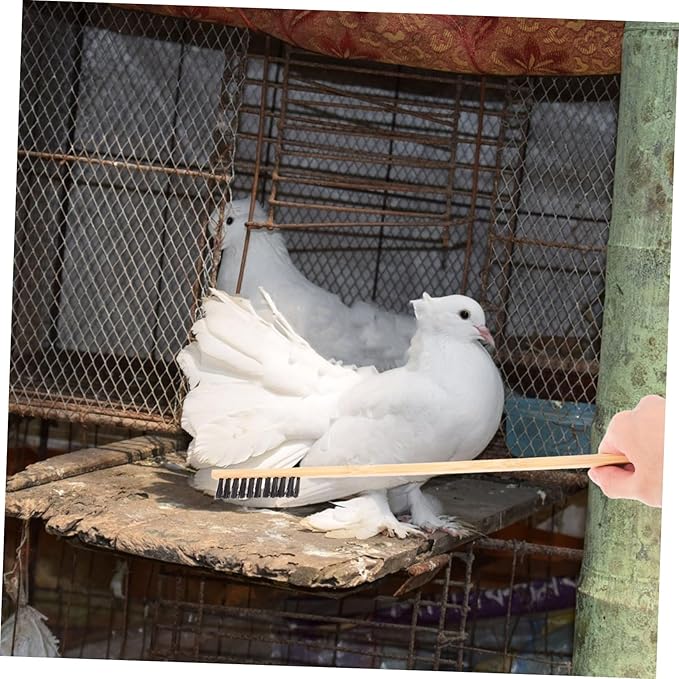 2pcs Essential Bird Cage Cleaning Kit Brush Shovel Set for Parrot Cages Small Animal Enclosures Guinea Chicken Coop