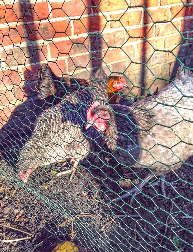 TOYPOPOR Chicken Wire, 16''x 600''/49ft Mesh Roll for Floral Arrangements, Anti-Rust PVC Coated Garden Netting, Rabbit Animal Fence with Cutting Plier, Gloves and Ties for DYI Crafts, Poultry, Garden