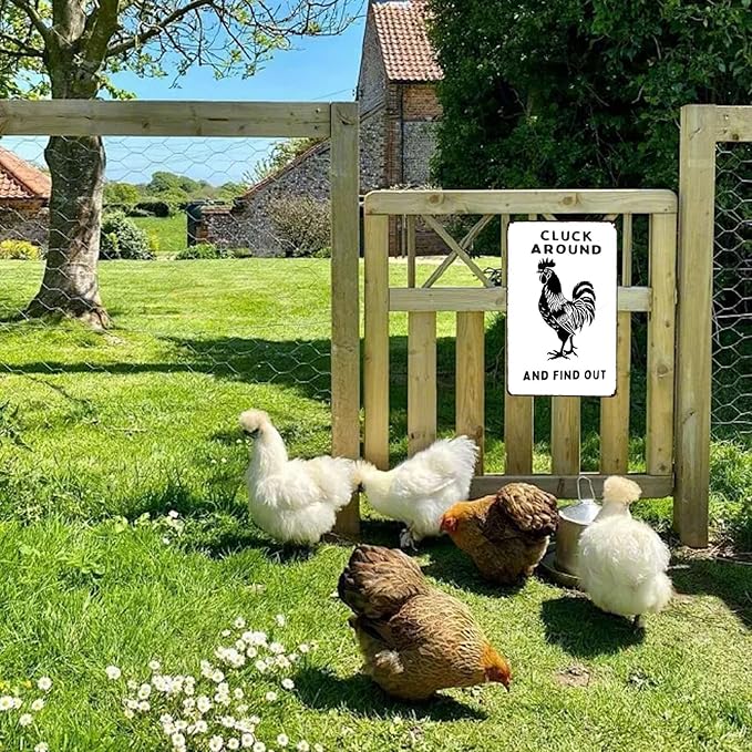 Cluck Around And Find Out Vintage Signs Retro Metal Tin Sign for Home Office Kitchen Bar Cafe Garden Farmhouse Chicken Coop Wall Decor 12x8 Inch