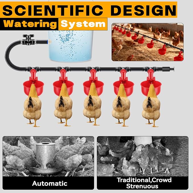 Complete Automatic Chicken Watering System with Quick-Connect Large Cups, 32.8ft Pipeline & Float Valve – 10 Red Cups, Removable & Washable