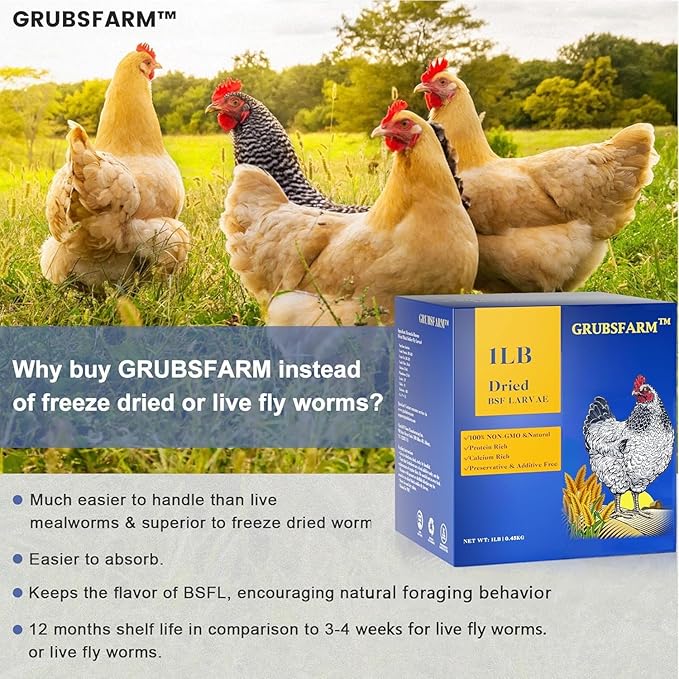 GRUBSFARM Black Soldier Fly Larvae-Chicken Treats 1LB-100% Natural Non-GMO Molting&Laying Supplement