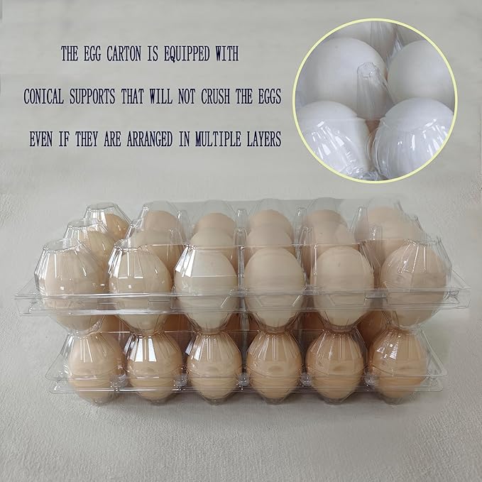 60packs 18-Egg Cartons Cheap Bulk, 3 * 6 extra large Clear plastic egg cartons for Family, Farm, Markets, Display
