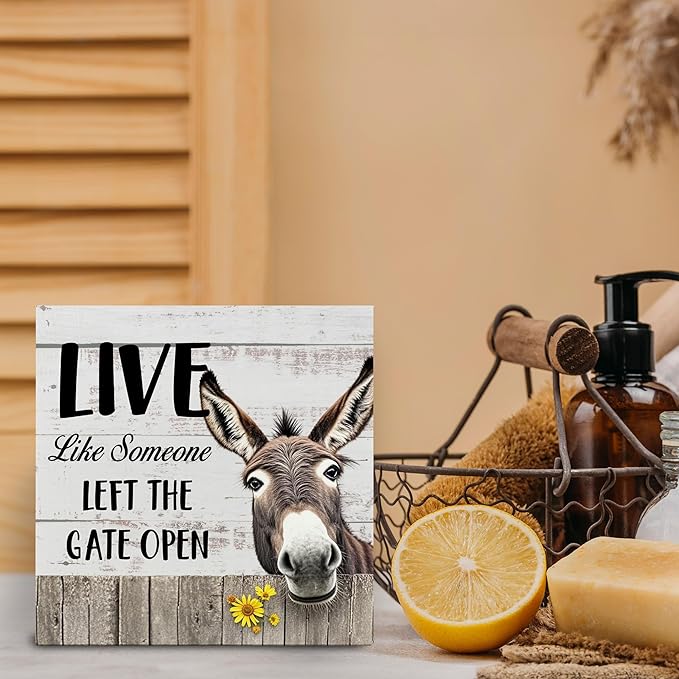 Rustic Farmhouse Wooden Sign - Funny Retro Donkey Decor, Office Decor for Women, Donkey Lovers Gifts, Live like Someone Tabletop Shelf Desk 5x5 Inch