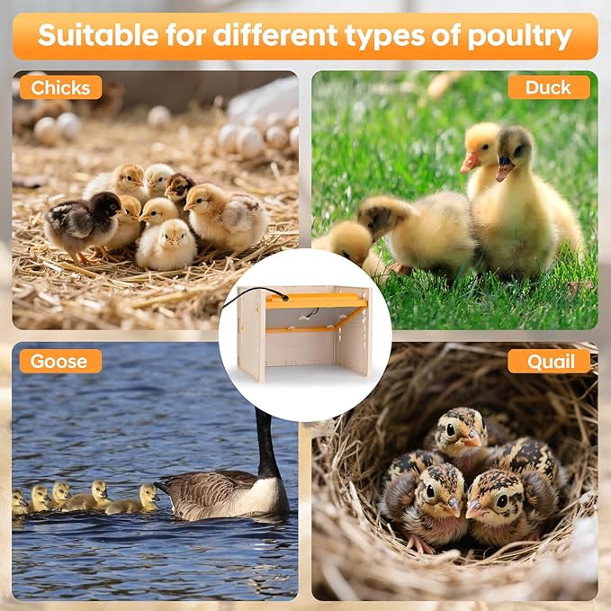 Brooder Plate for Chicks, 25W Heat Plate with Temperature Control, 9.76" x 9.76" Brooder Heater Adjustable Height and Angle, Chick Warmer Brooding Heating Plates for Baby Chicken Poultry Duck