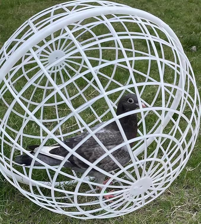 19.6" Ball-Shaped Movable Chicken Coop,Farm Courtyard Outdoor Accessible Rolling Rabbit Duck Hutch,Preventing Dog Bites Trampled by Horse,Pet Removable Prevent Harassment Safety Cage(1 PC)