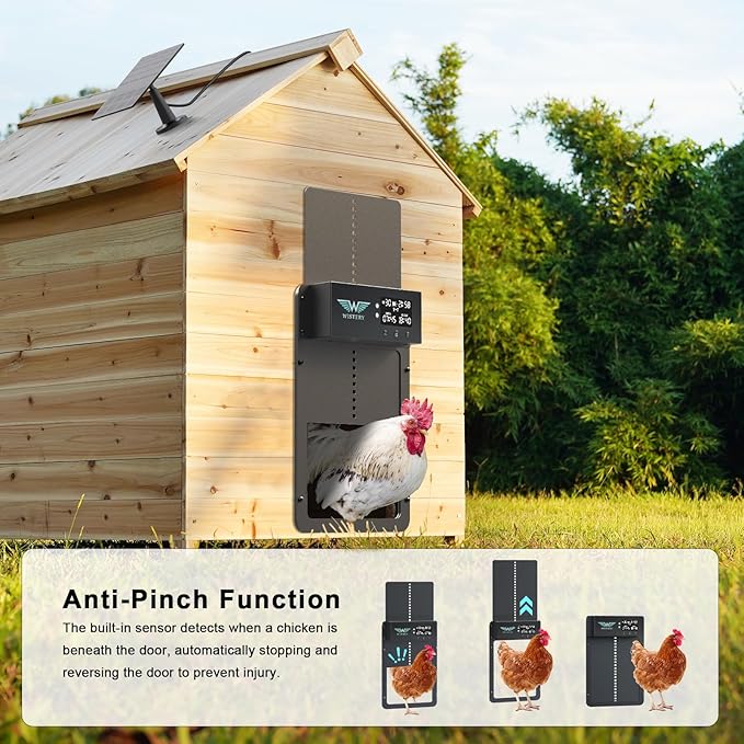 Automatic Chicken Coop Door Solar Powered with Timer & Light Sensor, LCD Display, Remote Control, Multiple Modes Aluminum Auto Chicken Coop Door Solar, Anti-Pinch & Weather Proof